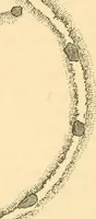An illustration from Rude stone monuments in all countries; their age and uses (1872)