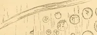 Picture 85 of 188 from Rude stone monuments in all countries; their age and uses (1872), leaf 306