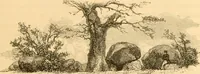 Picture 103 of 188 from Rude stone monuments in all countries; their age and uses (1872), leaf 346