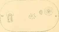 Picture 119 of 188 from Rude stone monuments in all countries; their age and uses (1872), leaf 383