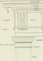 An illustration from The rudiments of ancient architecture, in two parts : containing an historical account of the five orders, with their proportions and examples of each from the antiques : also Vitruvius on the temples and intercolumniations, &c. of the ancients ... : with a dictionary of terms : illustrated with ten plates (1789)