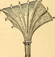 An illustration from The rudiments of architecture and building, for the use of architects, builders, draughtsmen, machinists, engineers, and mechanics (1872)
