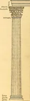 Picture 7 of 118 from The rudiments of architecture and building, for the use of architects, builders, draughtsmen, machinists, engineers, and mechanics (1872), leaf 41