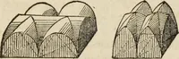 An illustration from Rudiments of the art of building : represented in five sections [...] for the use of architects, builders, draghtsmen, machinists, engineers and mechanics (1853)