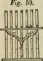 An illustration from Rudiments of the art of building : represented in five sections [...] for the use of architects, builders, draghtsmen, machinists, engineers and mechanics (1853)