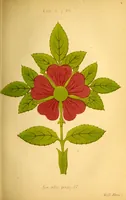 Picture 7 of 8 from The rudiments of colours and of colouring : with the nature of pigments for the use of decorative artists, painters, etc. (1870), leaf 97
