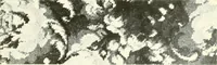 An illustration from The rug and carpet industry of Philadelphia: (1917)