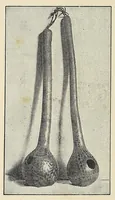 Picture 1 of 11 from The ruined cities of Mashonaland : being a record of excavation and exploration in 1891, with a chapter on the orientation and mensuration of the temple by R. M. W. Swan (1893), leaf 70