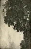 An illustration from Ruisdaal (1907)