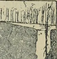 An illustration from Rukovodstvo dlia arkheologicheskikh raskopok (1914)