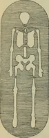An illustration from Rukovodstvo dlia arkheologicheskikh raskopok (1914)