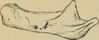 Picture 27 of 48 from Rukovodstvo dlia arkheologicheskikh raskopok (1914), leaf 43
