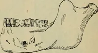 An illustration from Rukovodstvo dlia arkheologicheskikh raskopok (1914)