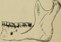 An illustration from Rukovodstvo dlia arkheologicheskikh raskopok (1914)
