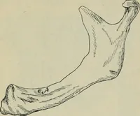 An illustration from Rukovodstvo dlia arkheologicheskikh raskopok (1914)