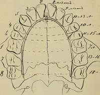 Picture 32 of 48 from Rukovodstvo dlia arkheologicheskikh raskopok (1914), leaf 45
