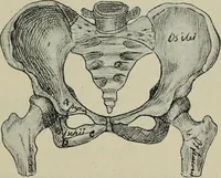 An illustration from Rukovodstvo dlia arkheologicheskikh raskopok (1914)