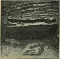 An illustration from Rukovodstvo dlia arkheologicheskikh raskopok (1914)