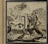 An illustration from Rules and examples of perspective, proper for painters and architects, etc. In English and Latin ... by .. (1707)