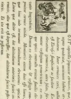 Picture 81 of 287 from Rules and examples of perspective proper for painters and architects, etc. in English and Latin :‡bcontaining a most easie and expeditious method to delineate in perspective all designs relating to architecture, after a new manner, wholly free from the confusion of occult lines /‡cby that great master thereof, Andrea Pozzo, Soc. Jef. engraven in 105 ample folio plates, and adorn'd with 200 initial letters to the explanatory discourses ; printed from copper-plates ony best paper by John Sturt ; done into English from the original printed at Rome 1693 in Lat. and Ital. by Mr John James of Greenwich (1693), leaf 106
