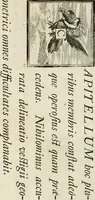 Picture 68 of 287 from Rules and examples of perspective proper for painters and architects, etc. in English and Latin :‡bcontaining a most easie and expeditious method to delineate in perspective all designs relating to architecture, after a new manner, wholly free from the confusion of occult lines /‡cby that great master thereof, Andrea Pozzo, Soc. Jef. engraven in 105 ample folio plates, and adorn'd with 200 initial letters to the explanatory discourses ; printed from copper-plates ony best paper by John Sturt ; done into English from the original printed at Rome 1693 in Lat. and Ital. by Mr John James of Greenwich (1693), leaf 94