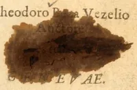 Picture 1 of 4 from Psalmorum Davidis et aliorum prophetarum, libri quinque : Argumentis & Latina paraphrasi illustrati, ac etiam vario carminum genere latinè expressis (1579), leaf 11