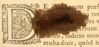 Picture 2 of 4 from Psalmorum Davidis et aliorum prophetarum, libri quinque : Argumentis & Latina paraphrasi illustrati, ac etiam vario carminum genere latinè expressis (1579), leaf 13