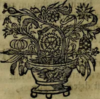 An illustration from Runir [in Runic characters], seu, Danica literatura antiqvissima (1651)