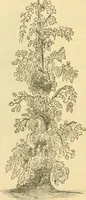 An illustration from Rural essays (1853)