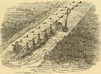 An illustration from Rural essays (1853)