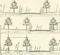 An illustration from Rural planning and development, a study of rural conditions and problems in Canada (1917)