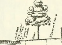An illustration from Rural planning and development, a study of rural conditions and problems in Canada (1917)