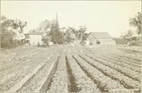 Picture 10 of 92 from Rural planning and development, a study of rural conditions and problems in Canada (1917), leaf 58