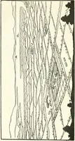 An illustration from Rural planning and development, a study of rural conditions and problems in Canada (1917)