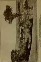 An illustration from Rural planning and development; a study of rural conditions and problems in Canada (1917)