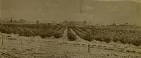 An illustration from Rural planning and development; a study of rural conditions and problems in Canada (1917)