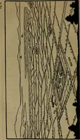 An illustration from Rural planning and development; a study of rural conditions and problems in Canada (1917)