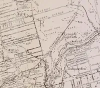 Picture 53 of 89 from Rural planning and development; a study of rural conditions and problems in Canada (1917), leaf 190