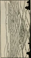 An illustration from Rural planning and development; a study of rural conditions and problems in Canada (1917)