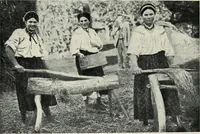 An illustration from Russian festivals and costumes for pageant and dance (1921)