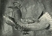 An illustration from Russian festivals and costumes for pageant and dance (1921)