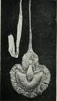 An illustration from Russian festivals and costumes for pageant and dance (1921)