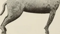 An illustration from Russkiia drevnosti v pamiatnikakh iskusstva (1889)
