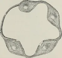 An illustration from Russkiia drevnosti v pamiatnikakh iskusstva (1889)