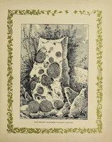 An illustration from Rustic adornments for homes of taste (1895)