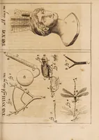 Picture 10 of 12 from Acta eruditorum. Acta Eruditori Tomo Supplimentorum, 1682 (1682), leaf 345