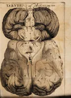 An illustration from Acta eruditorum. 1683 (1683)