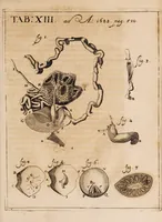 An illustration from Acta eruditorum. 1683 (1683)