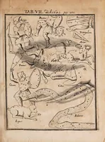 Picture 5 of 9 from Acta eruditorum. Reprint, 1683 (1683), leaf 305