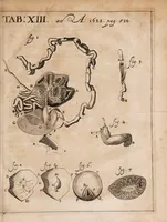 An illustration from Acta eruditorum. Reprint, 1683 (1683)